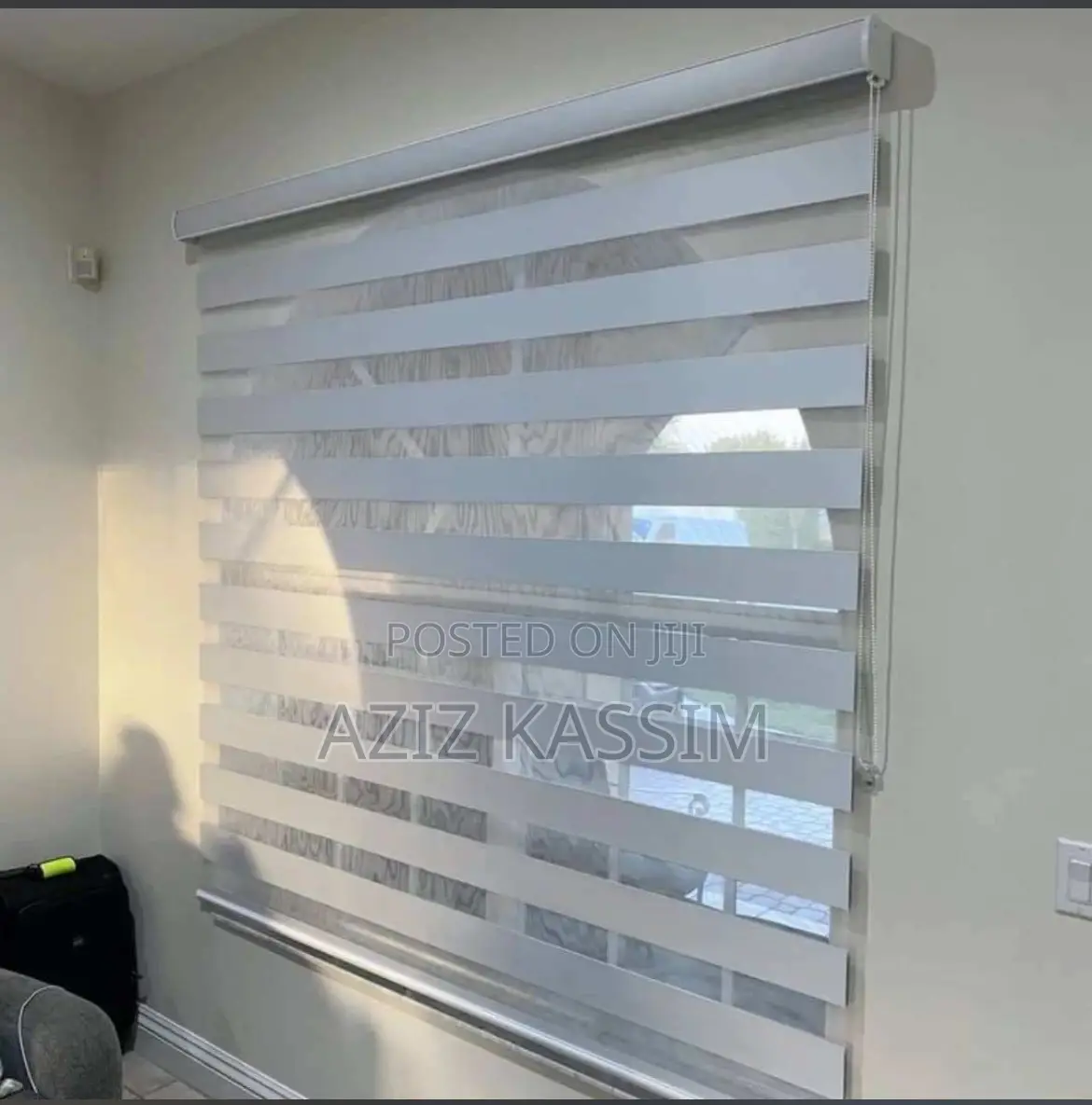 Zebra Blind Curtain