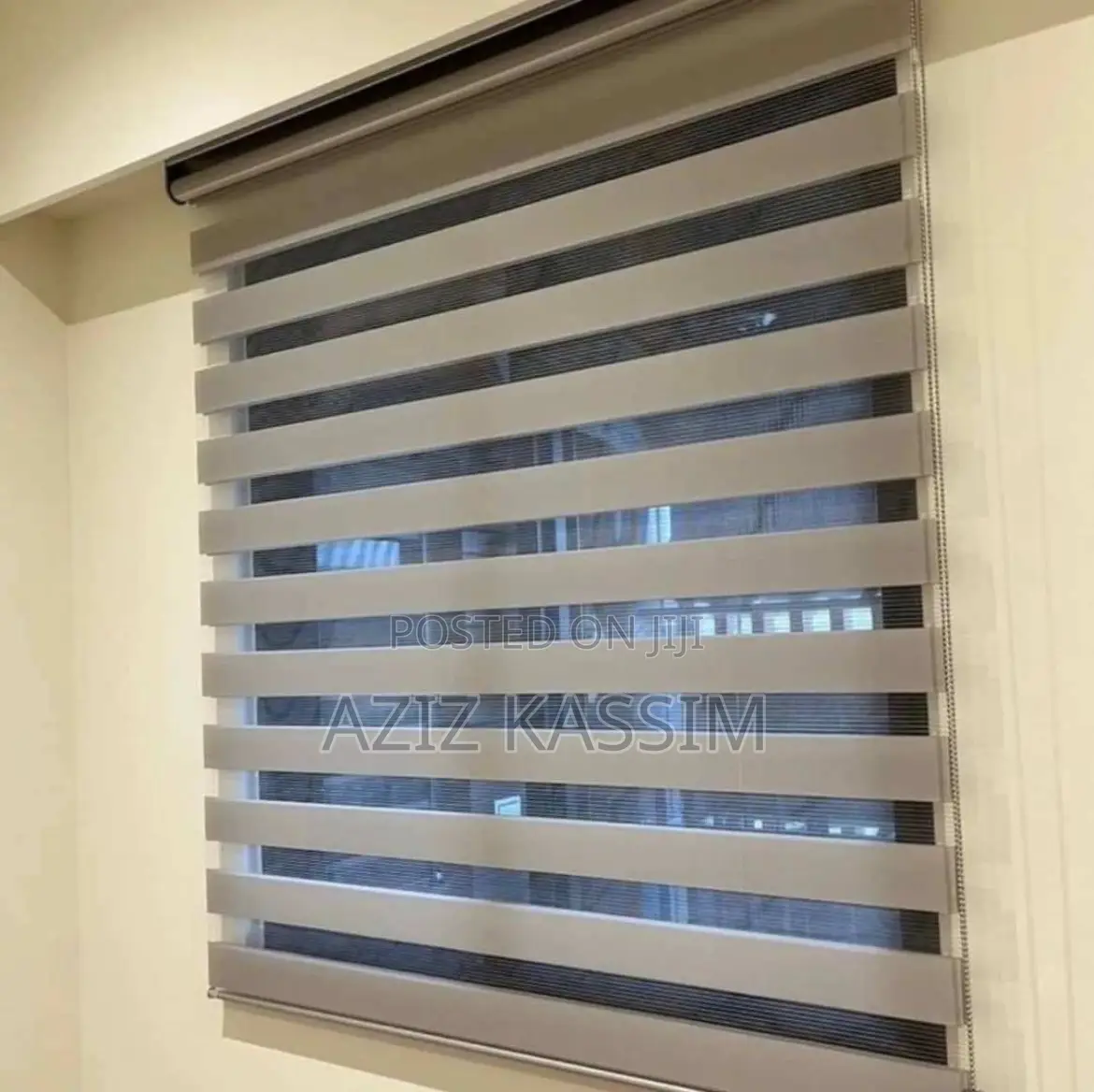 Zebra Blind Curtain