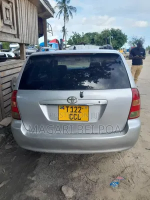 Toyota Corolla Fielder 2004 Silver