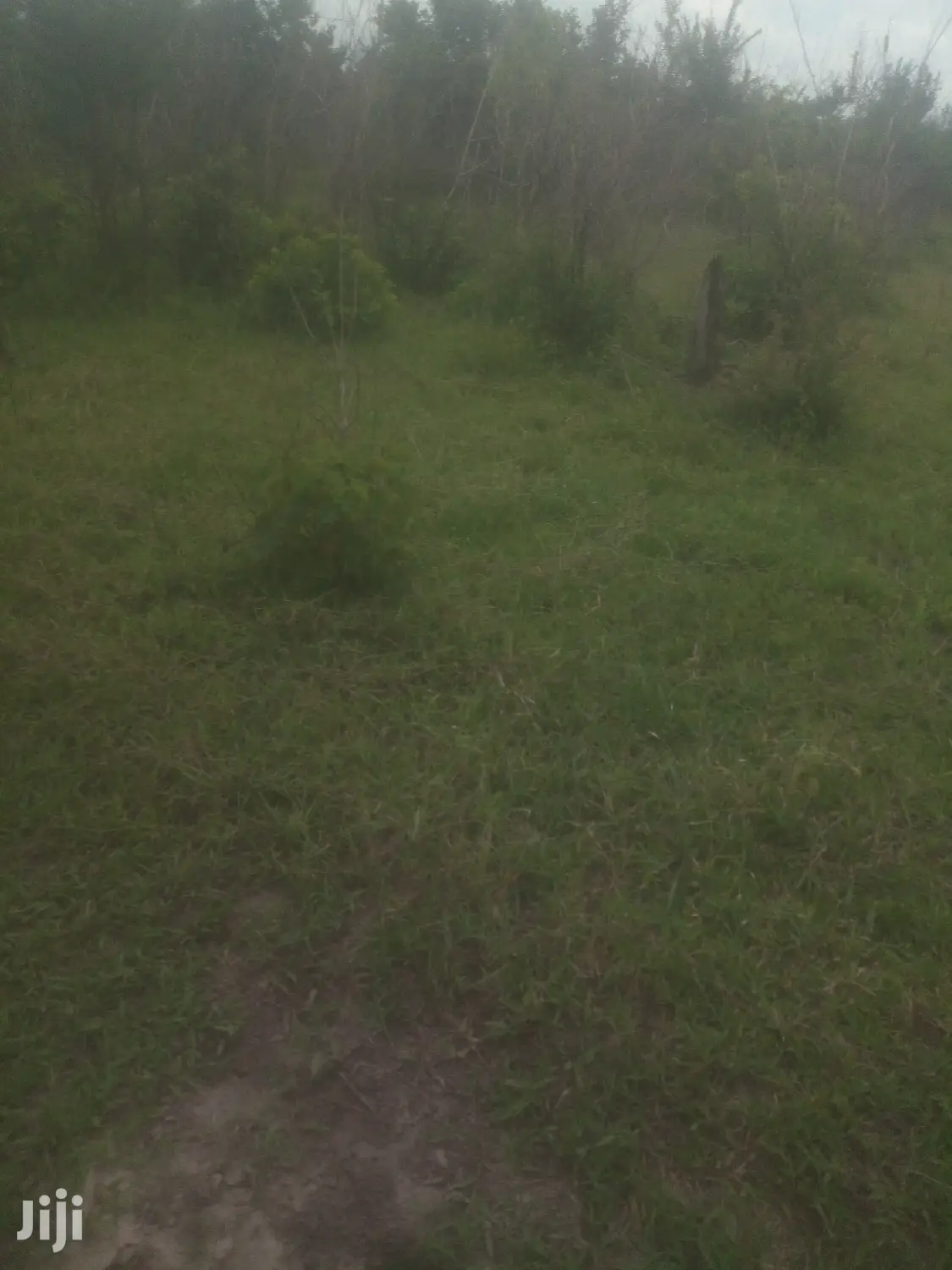 Shamba Linauzwa Bagamoyo Kiwagwa