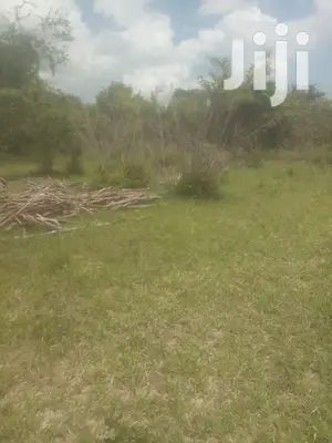 Shamba Linauzwa Bagamoyo Kiwagwa