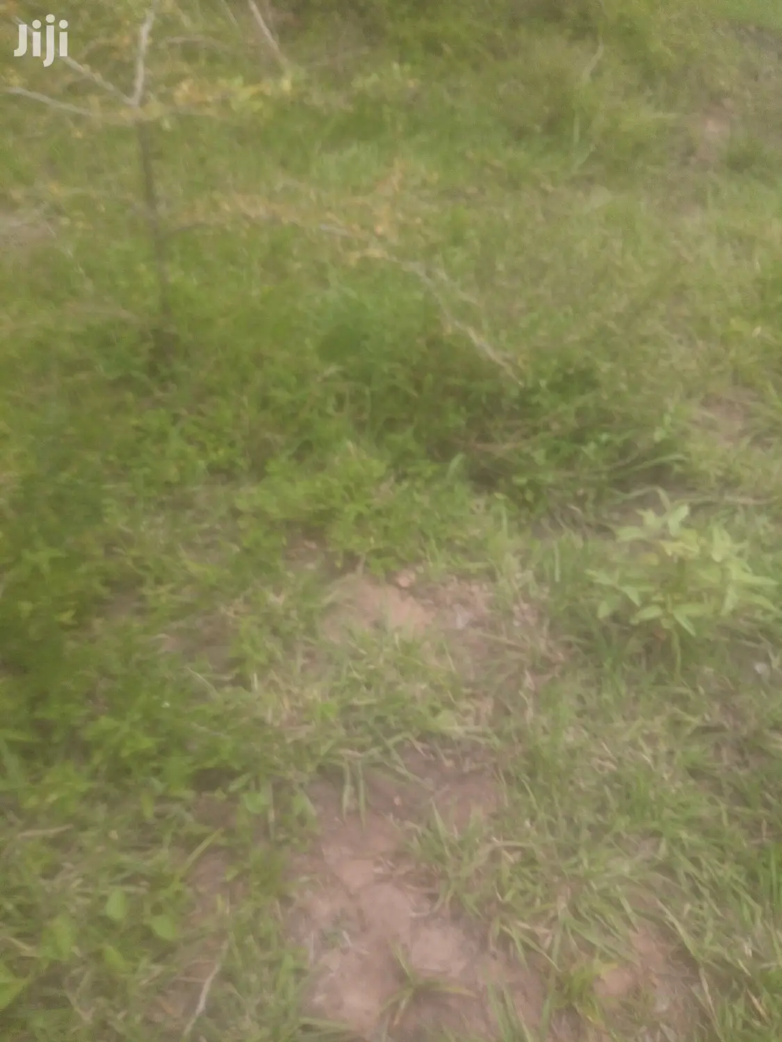 Shamba Linauzwa Bagamoyo Kiwagwa