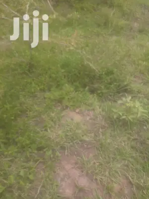 Shamba Linauzwa Bagamoyo Kiwagwa