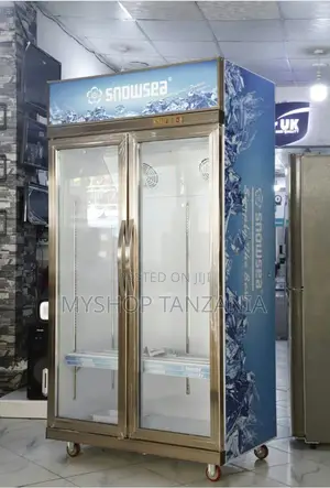 Snowsea Showcase Freezer Sn700 700l