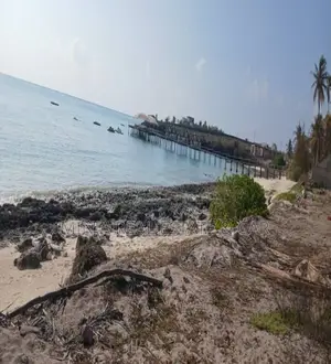 Beach Plot for Sale Jambiani Zanzibar