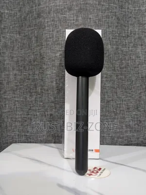 Wireless Microphone Handheld Stick