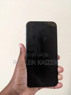 Apple iPhone 12 Pro Max 256 GB
