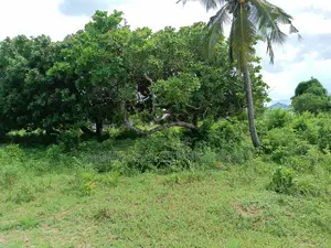 Industrial Plot for Sale Bagamoyo Zinga