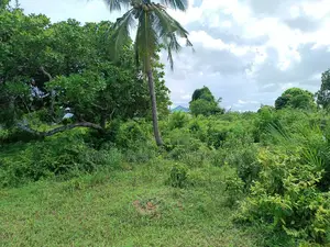 Industrial Plot for Sale Bagamoyo Zinga