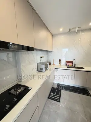 Furnished 3bdrm Apartment in Masaki for rent