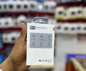 Wireless Microphone for iPhone and Type-C [Double Mic]