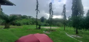 Goba Plot for Sale