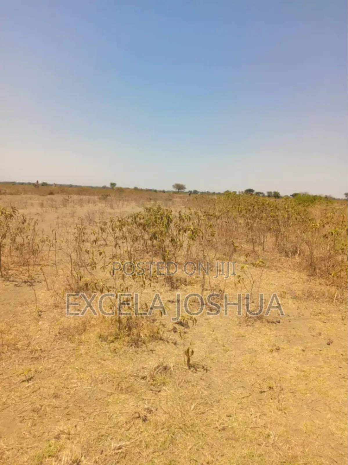 Shamba Ekari 4 Linauzwa Kisongo Arusha