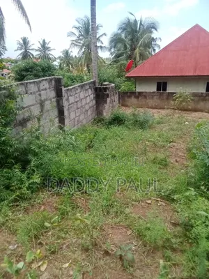 Goba Kinzudi (Maghorofani)