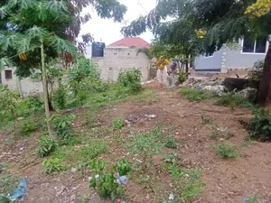 Goba Kinzudi (Maghorofani)