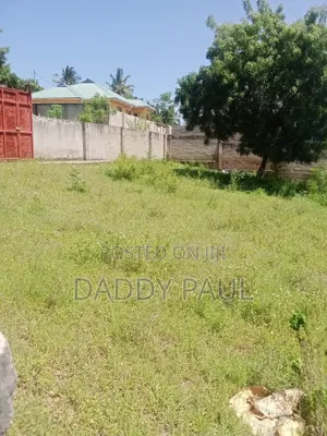 A Small Nice Plot at Goba Tatedo