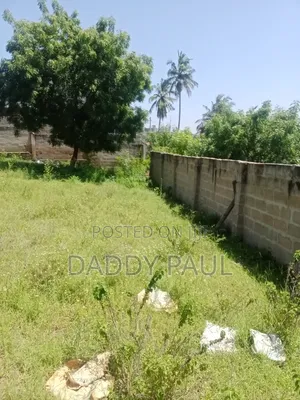 A Small Nice Plot at Goba Tatedo