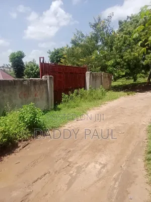 A Small Nice Plot at Goba Tatedo