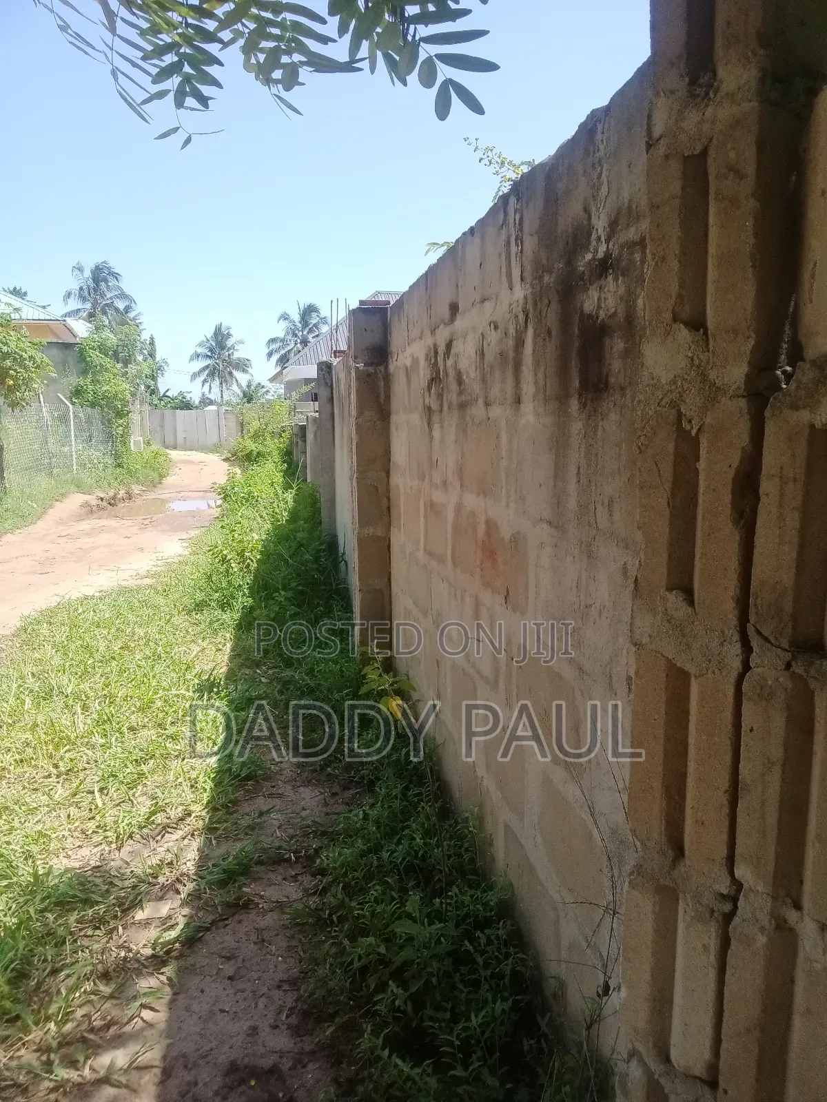 A Small Nice Plot at Goba Tatedo