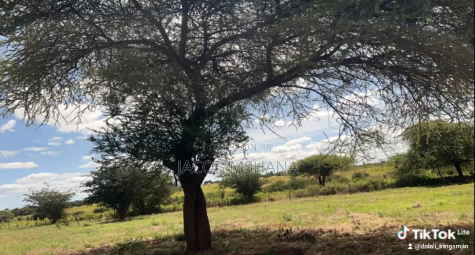 Shamba Linauzwa Ekari 17,000