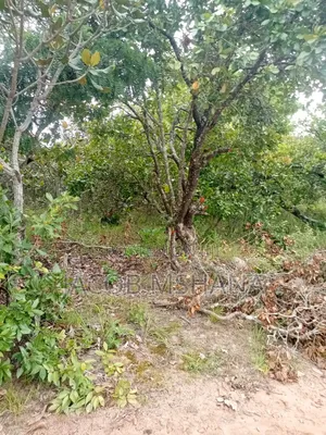 Shamba Linauzwa Ekari 17,000