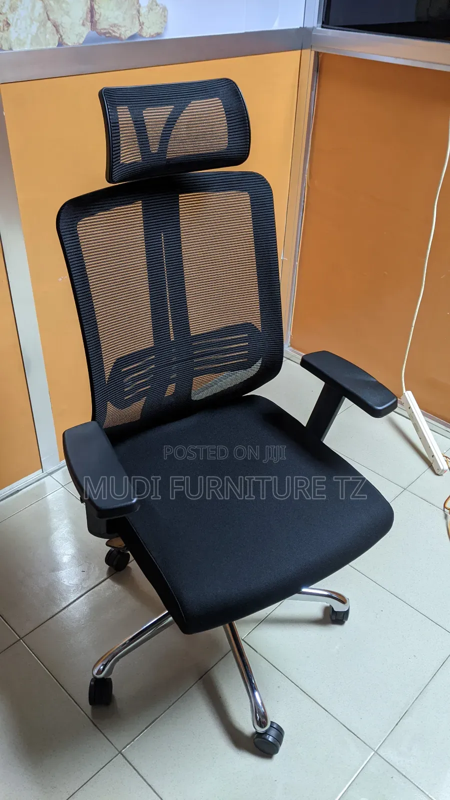 Ergonomic Chair