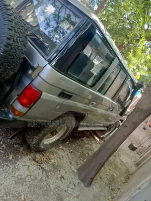 Toyota Land Cruiser 1999 Gray