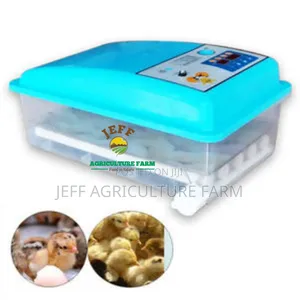Incubator Mayai 30 2025