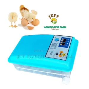 Incubator Mayai 30 2025