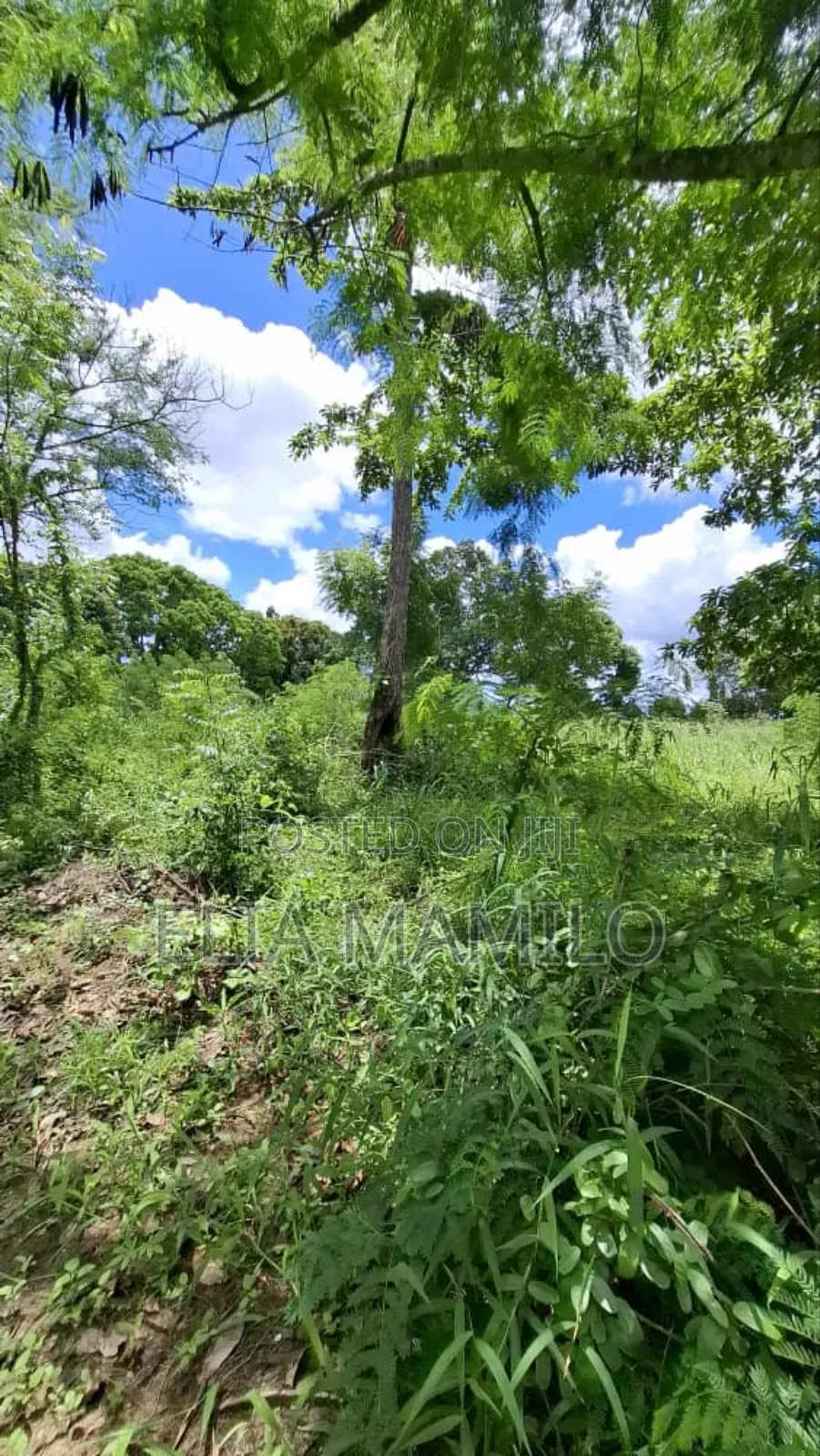 Industrial Plot for Sale in Kibaha Visiga