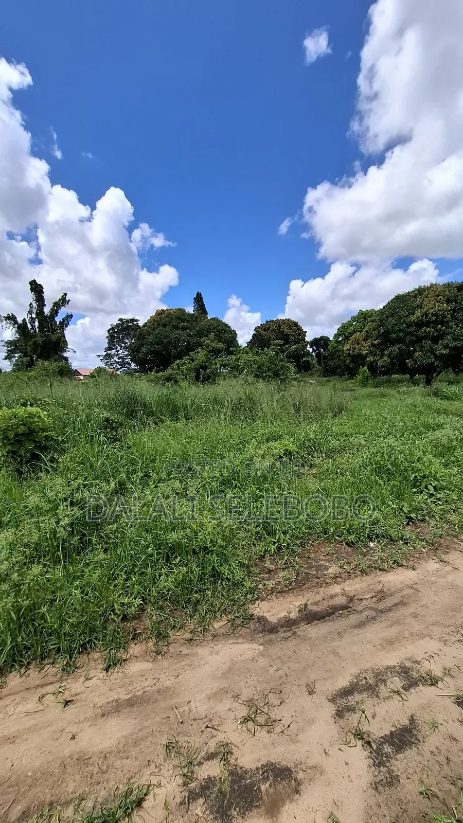 4hecter We Look Main Road Bagamoyo Mapinga