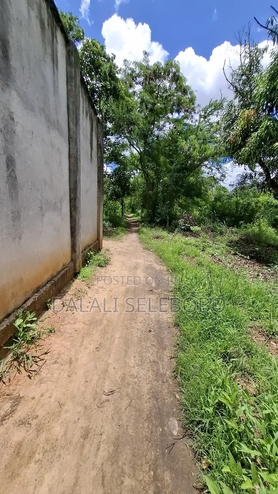 4hecter We Look Main Road Bagamoyo Mapinga