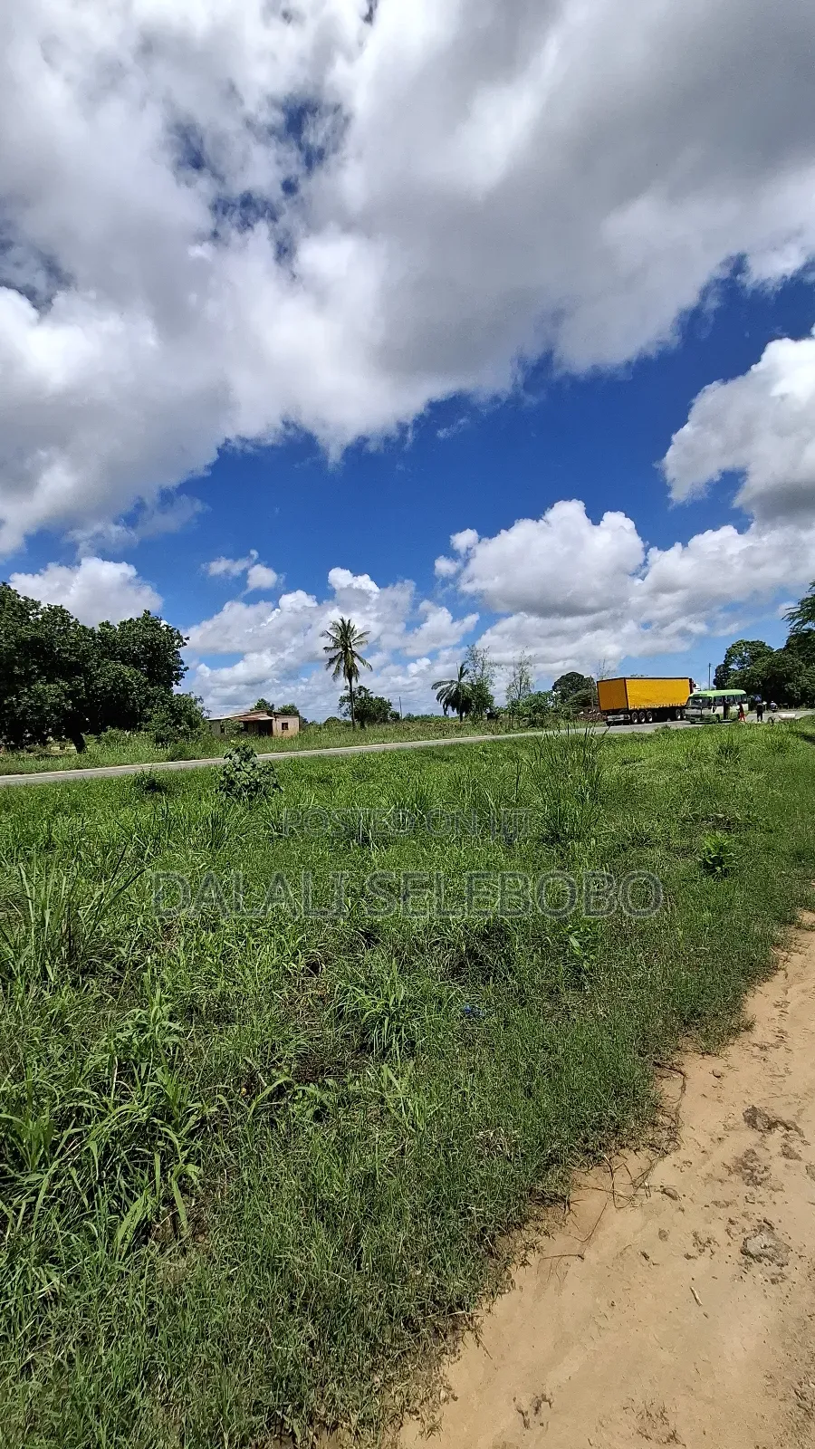 4hecter We Look Main Road Bagamoyo Mapinga