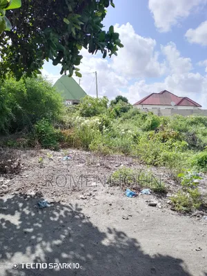 Kiwanja Sqmita 500 Kinauzwa Milioni 12.5 Ukonga Bombambili.
