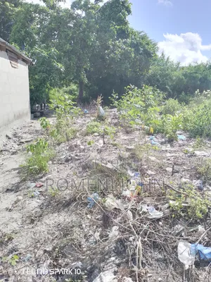 Kiwanja Sqmita 500 Kinauzwa Milioni 12.5 Ukonga Bombambili.