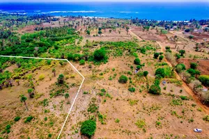 Beachplots for Sale
