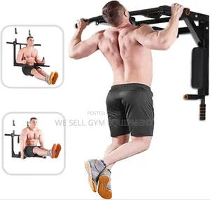 Pull Up Bar Dip Station