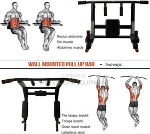 Pull Up Bar Dip Station