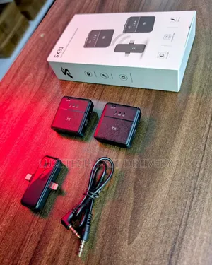 3 in 1 Wireless Mic
