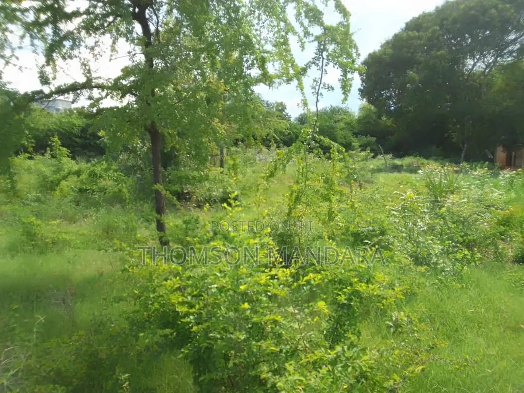 2 Acres Plot at Bahari Beach