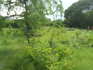 2 Acres Plot at Bahari Beach