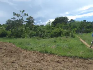 2 Acres Plot at Bahari Beach