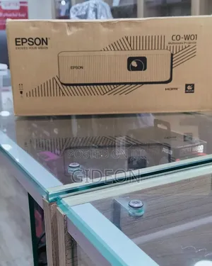 Epson Projector Co - W01