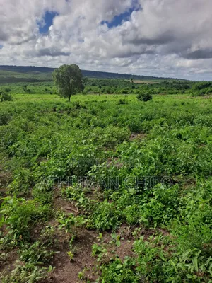 Shamba Linauzwa Lipo Kiwangwa Bagamoyo Pwani