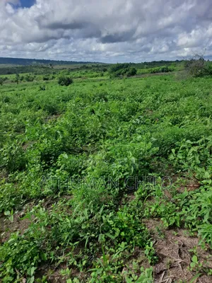 Shamba Linauzwa Lipo Kiwangwa Bagamoyo Pwani