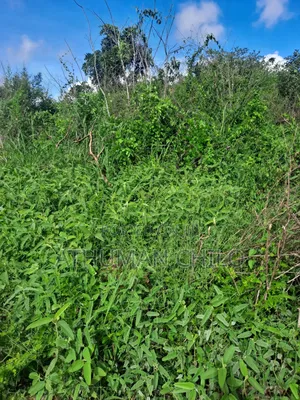 Shamba Linauzwa Lipo Kiwangwa Bagamoyo Pwani