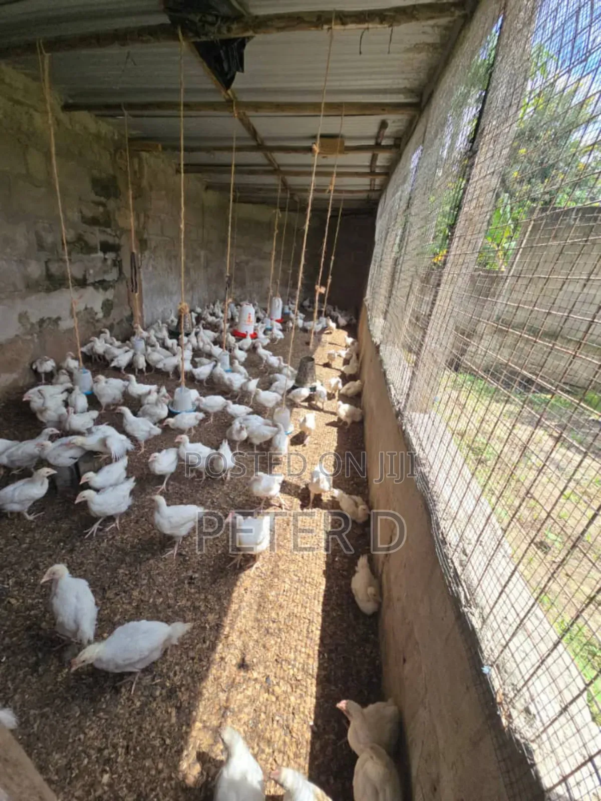 3bdrm House in Goba for sale