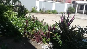 3bdrm House in Msasani General Tyre for rent
