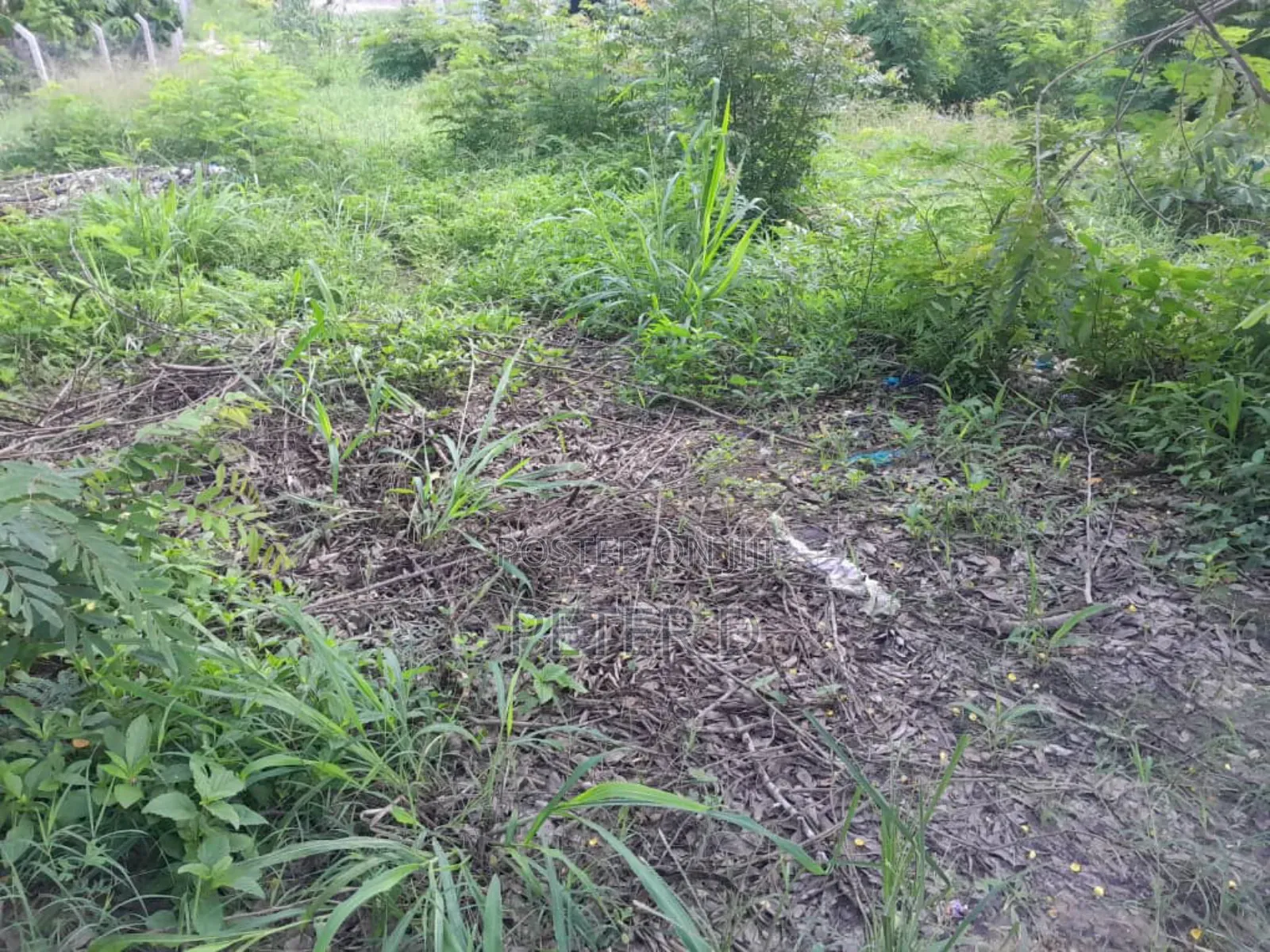 Kiwanja Karibu Na Lami Stop Over