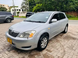 Toyota Corolla RunX 2003 Silver